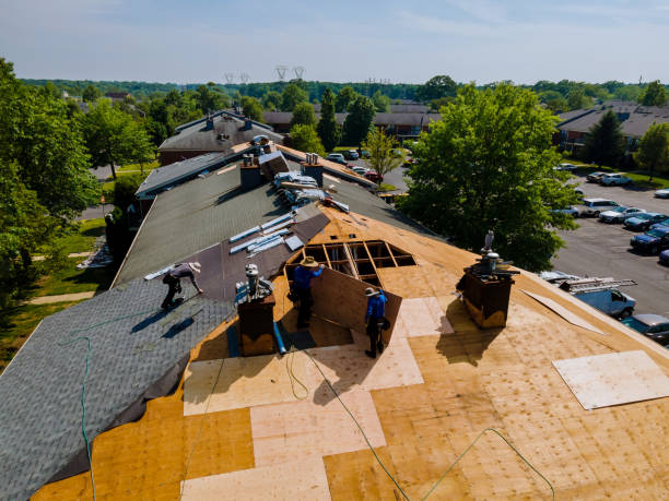 Best Metal Roofing Contractor  in Fairmount, GA