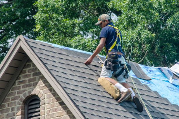 Best Roof Maintenance Services  in Fairmount, GA