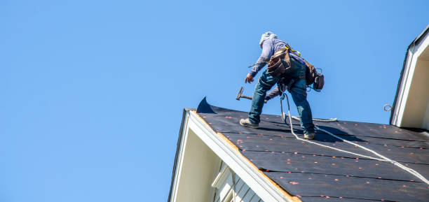 Best Roof Gutter Cleaning  in Fairmount, GA